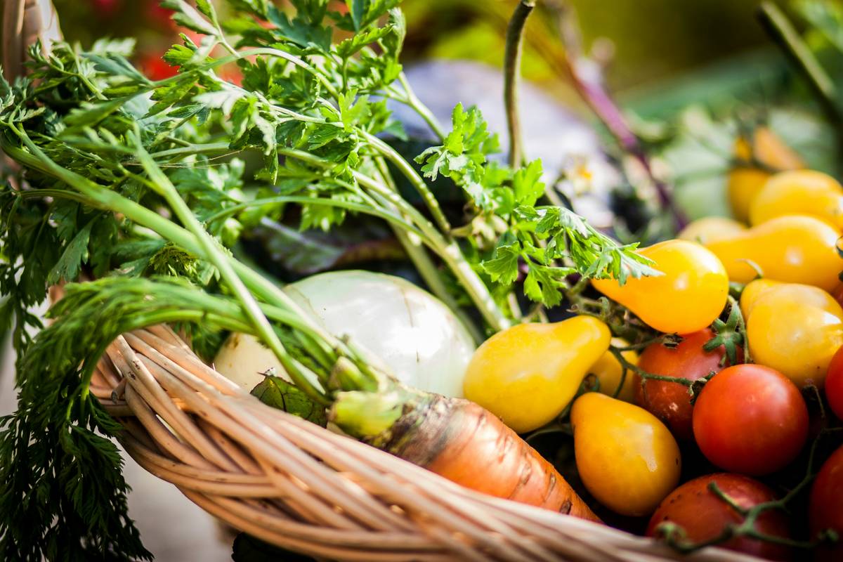 Foods for Gut Healing: 7 Proven Ways to Avoid Painful Digestive Mistakes